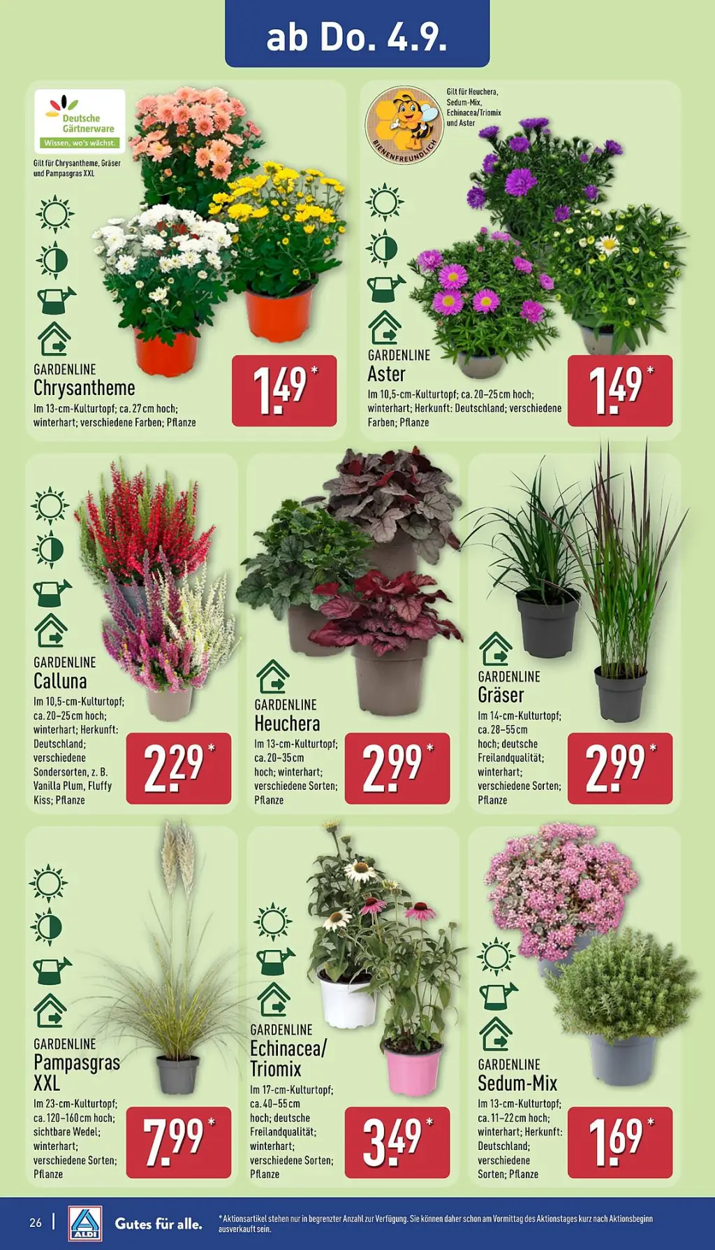 Aldi Nord Prospekt KW36 mit aktuellen Angeboten und attraktiven Rabatten – günstige Lebensmittel, Sparen Sie bei Aldi Nord Prospekt diese Woche!