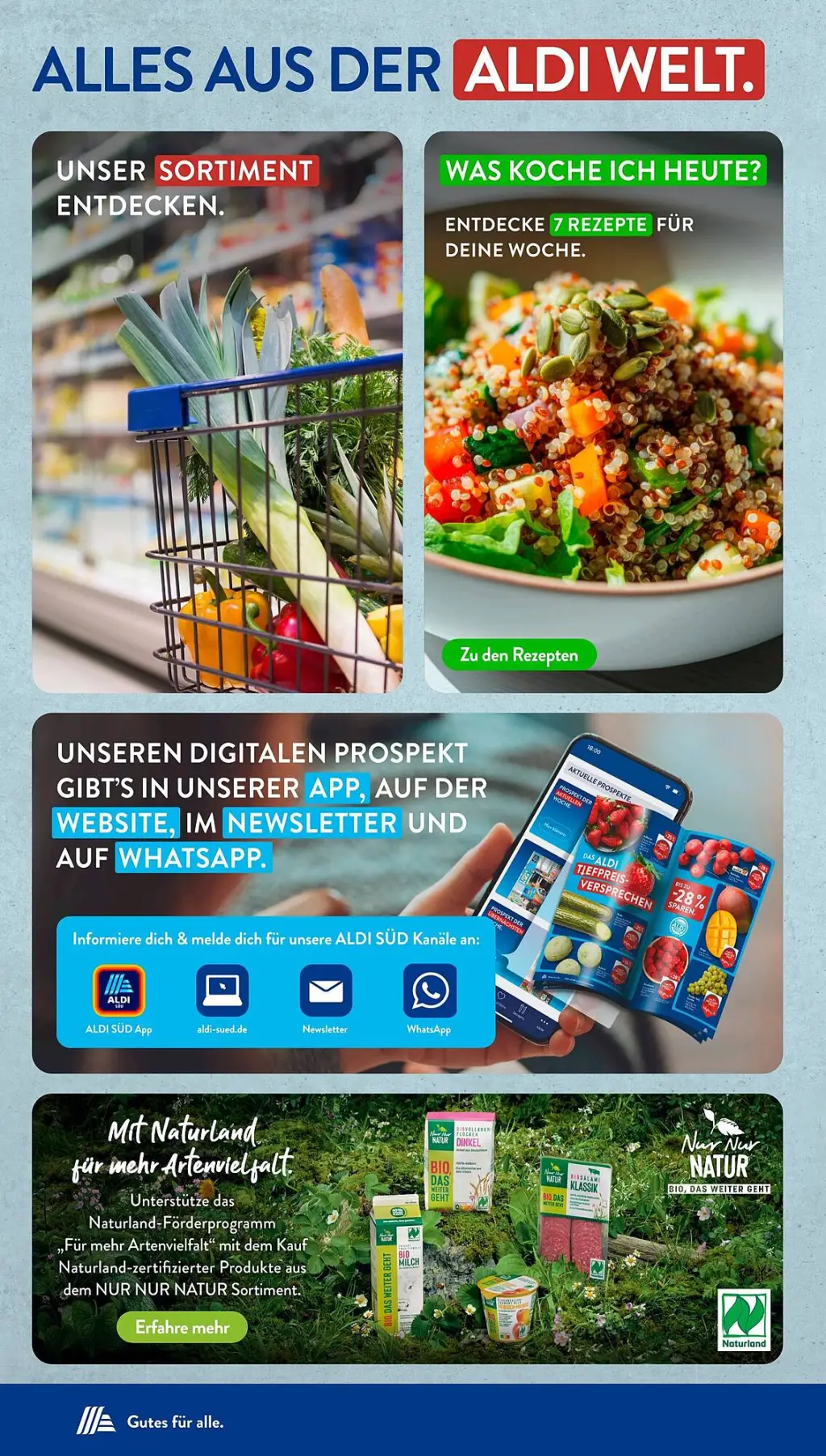 Aldi Süd Prospekt KW37 mit aktuellen Angeboten und attraktiven Rabatten – günstige Lebensmittel, Sparen Sie bei Aldi Süd Prospekt diese Woche!