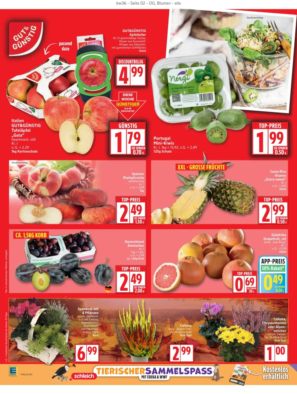 Edeka Prospekt KW36 mit aktuellen Angeboten und attraktiven Rabatten – günstige Lebensmittel, Sparen Sie bei Edeka Prospekt diese Woche!