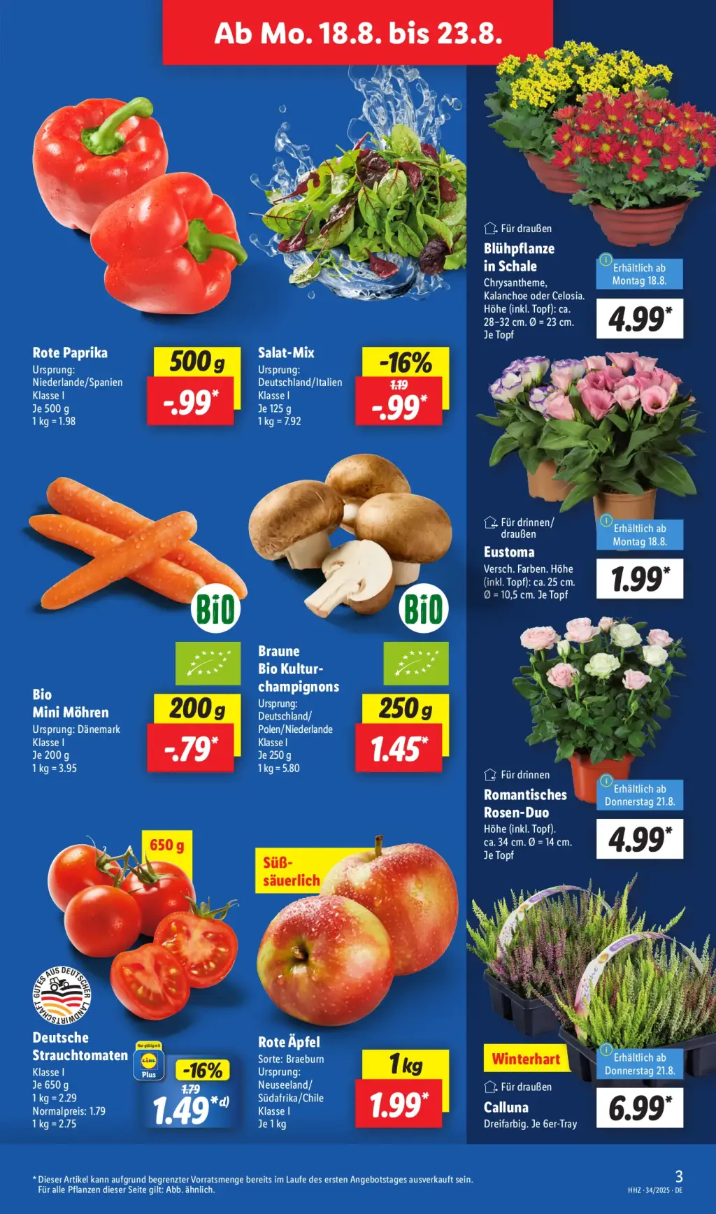 Lidl Prospekt KW34 mit aktuellen Angeboten und attraktiven Rabatten – günstige Lebensmittel, Sparen Sie bei Lidl Prospekt diese Woche!