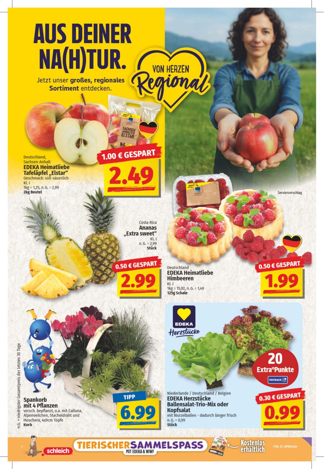 NP Prospekt KW36 mit aktuellen Angeboten und attraktiven Rabatten – günstige Lebensmittel, Sparen Sie bei NP Prospekt diese Woche!