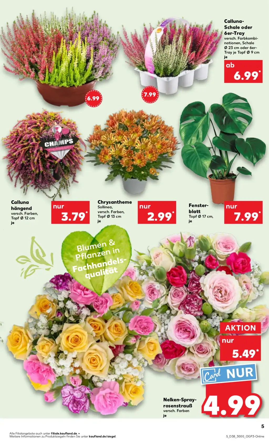 Kaufland Prospekt KW38 mit aktuellen Angeboten und attraktiven Rabatten – günstige Lebensmittel, Sparen Sie bei Kaufland Prospekt diese Woche!