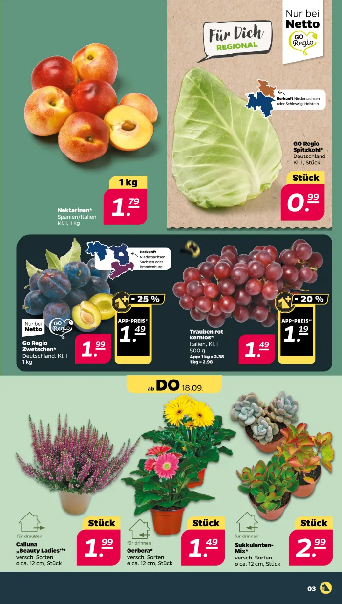 NETTO Prospekt KW38 mit aktuellen Angeboten und attraktiven Rabatten – günstige Lebensmittel, Sparen Sie bei NETTO Prospekt diese Woche!