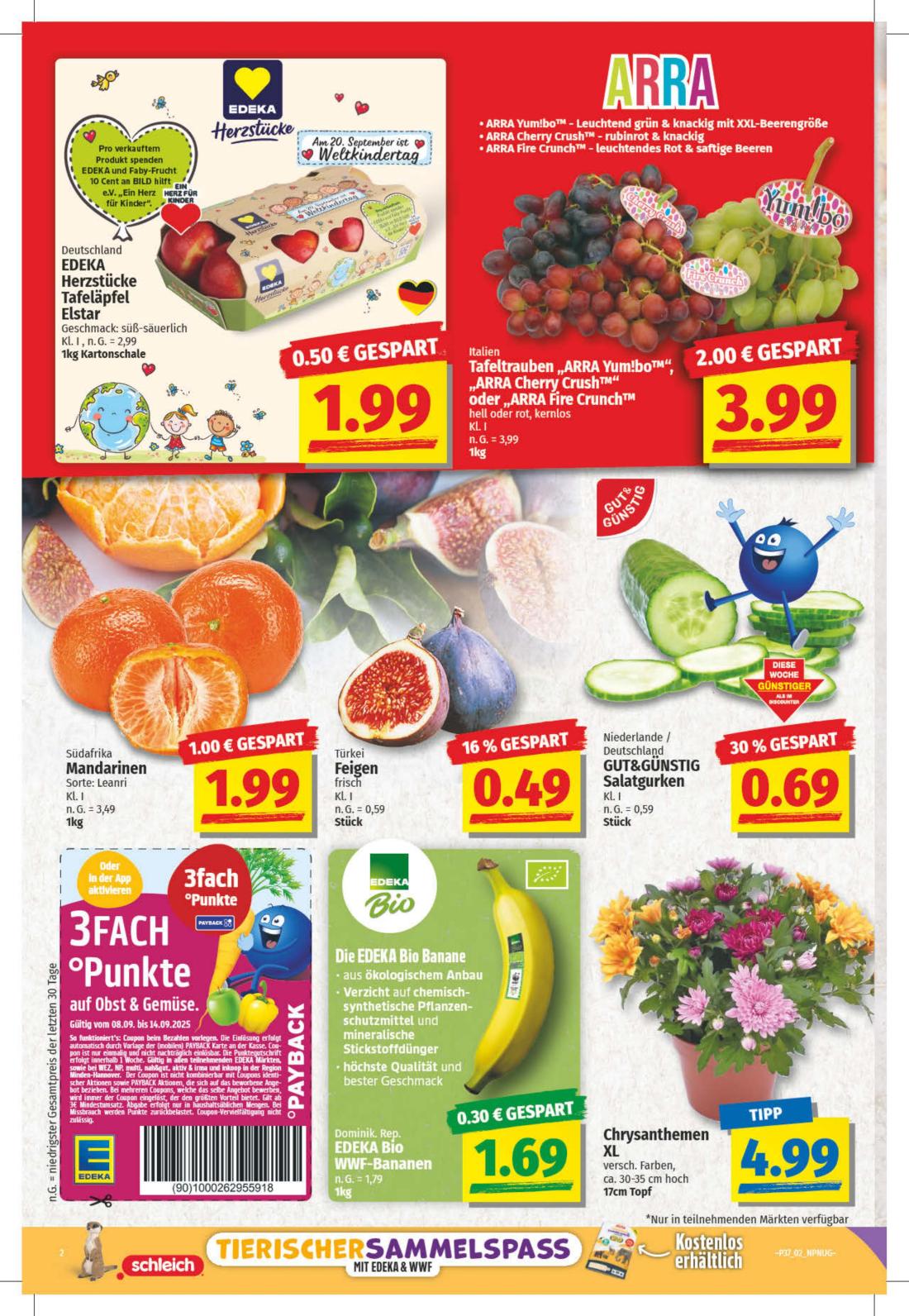 NP Prospekt KW37 mit aktuellen Angeboten und attraktiven Rabatten – günstige Lebensmittel, Sparen Sie bei NP Prospekt diese Woche!