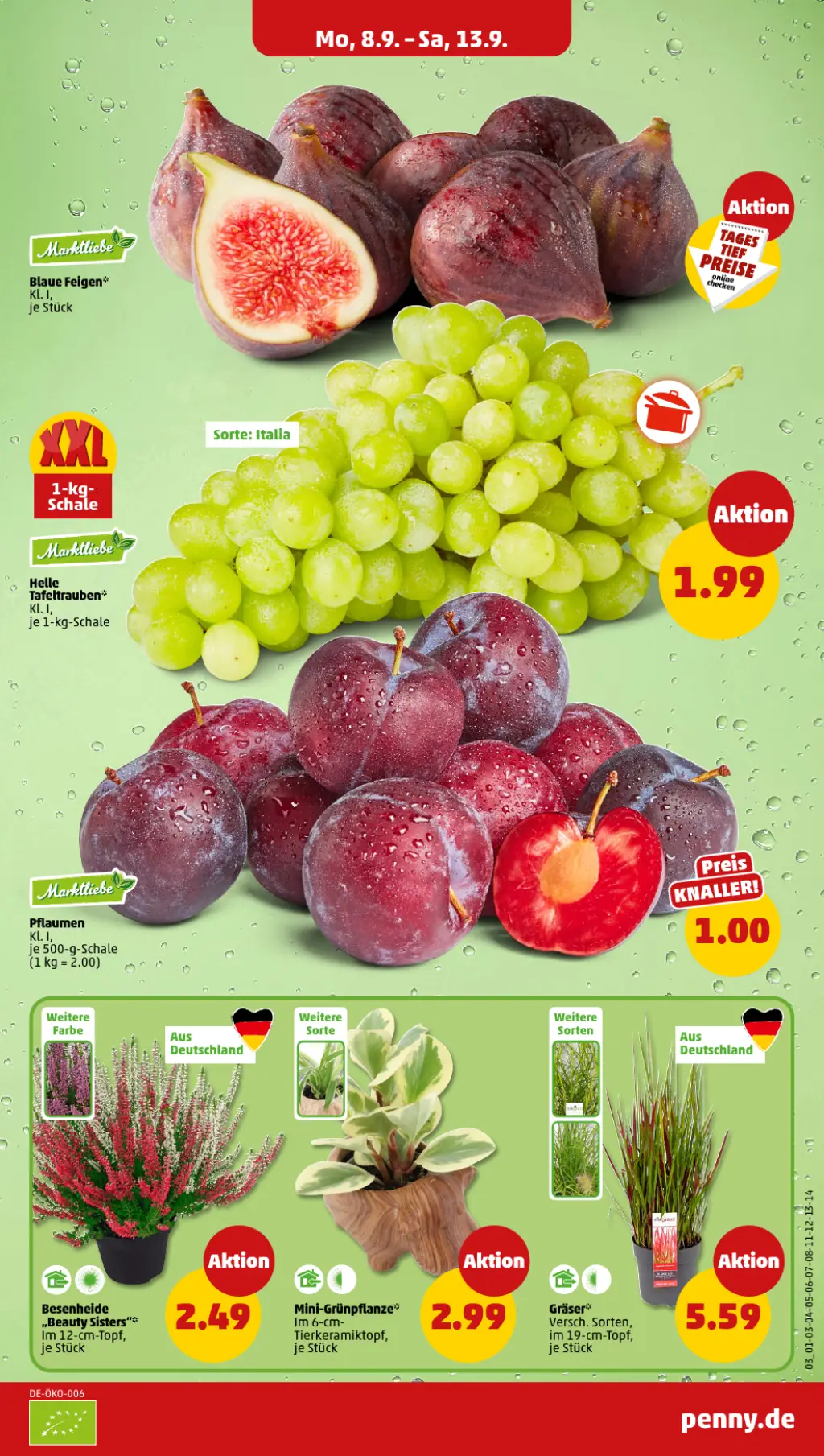 PENNY Prospekt KW37 mit aktuellen Angeboten und attraktiven Rabatten – günstige Lebensmittel, Sparen Sie bei PENNY Prospekt diese Woche!