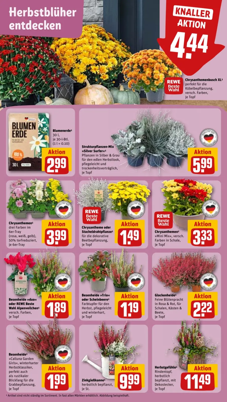 REWE Prospekt KW38 mit aktuellen Angeboten und attraktiven Rabatten – günstige Lebensmittel, Sparen Sie bei REWE Prospekt diese Woche!