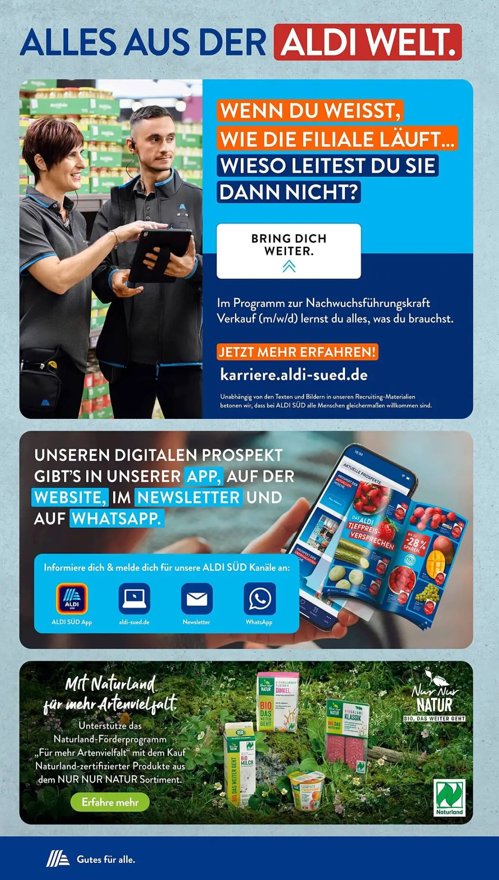 Aldi Süd Prospekt KW45 mit aktuellen Angeboten und attraktiven Rabatten – günstige Lebensmittel, Sparen Sie bei Aldi Süd Prospekt diese Woche!