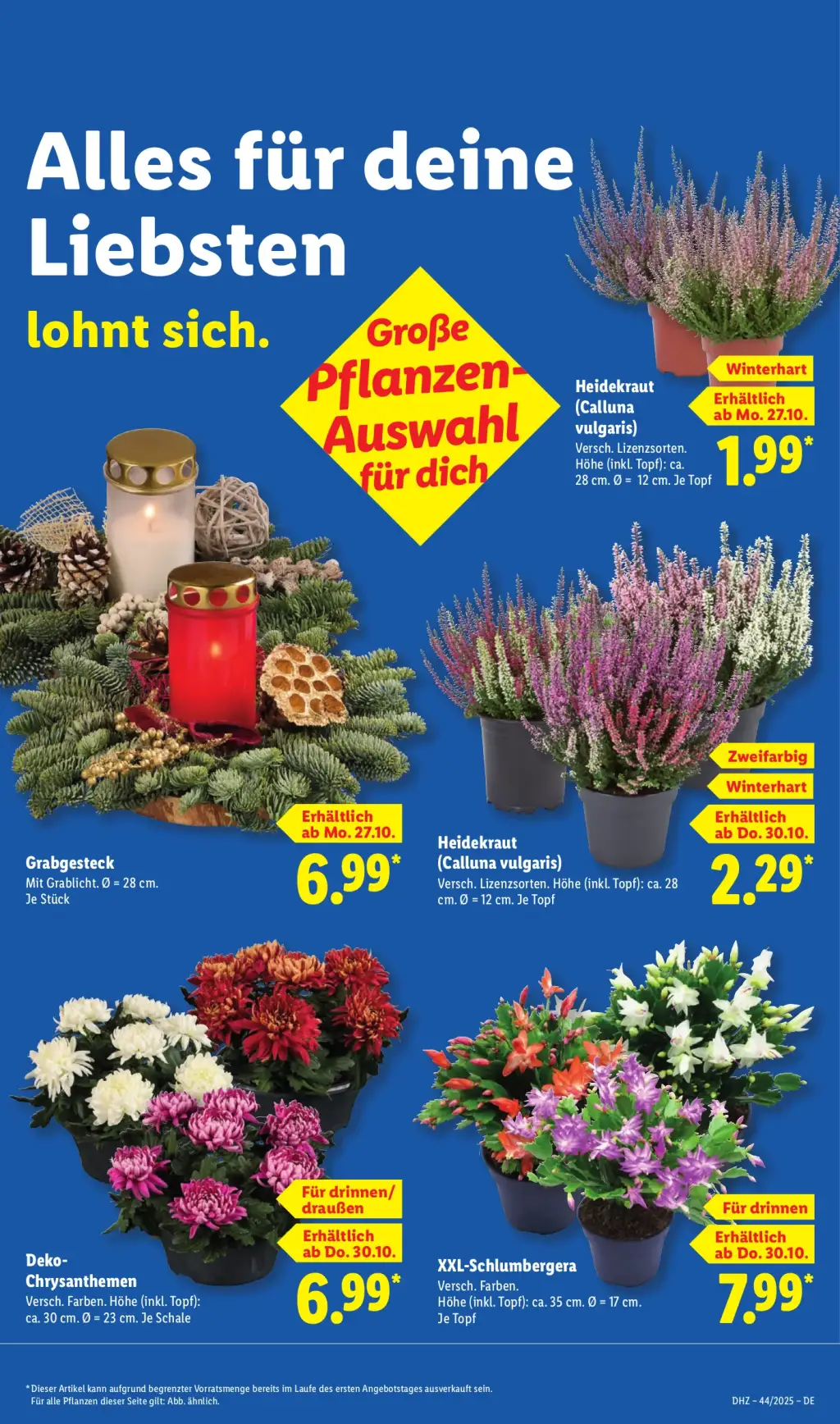 Lidl Prospekt KW44 mit aktuellen Angeboten und attraktiven Rabatten – günstige Lebensmittel, Sparen Sie bei Lidl Prospekt diese Woche!