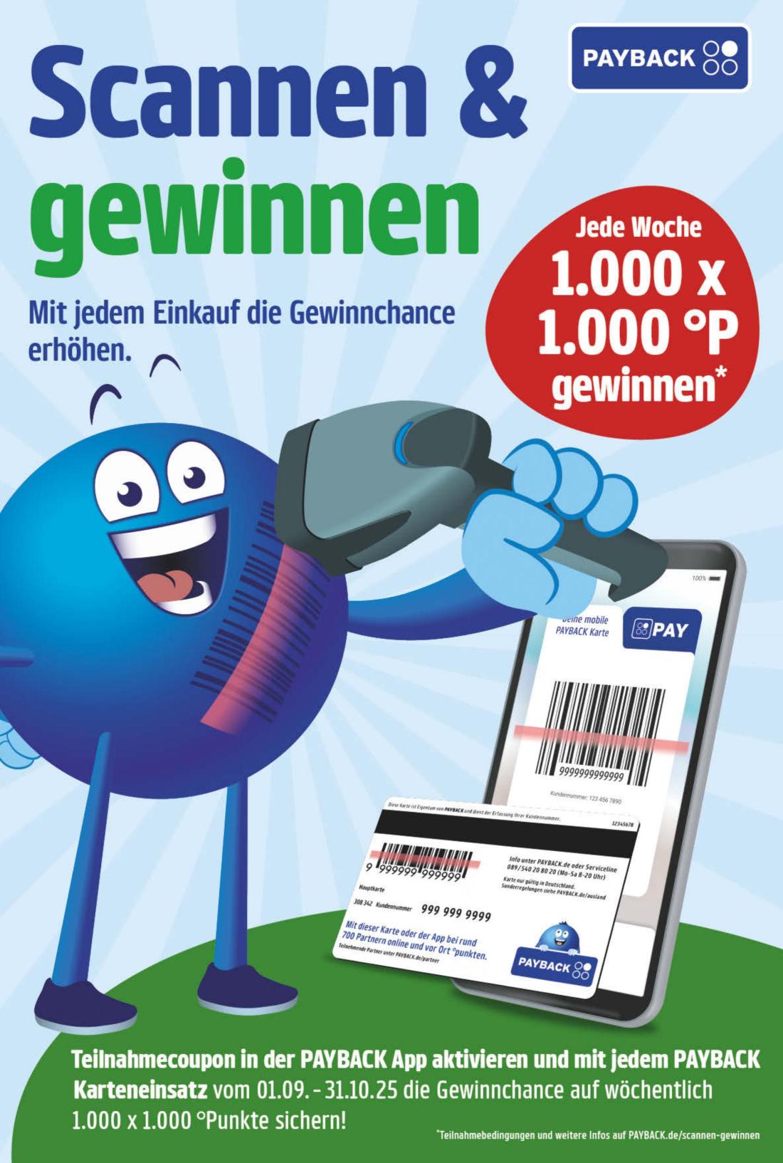NP Prospekt KW43 mit aktuellen Angeboten und attraktiven Rabatten – günstige Lebensmittel, Sparen Sie bei NP Prospekt diese Woche!