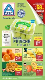 Aldi Nord Prospekt