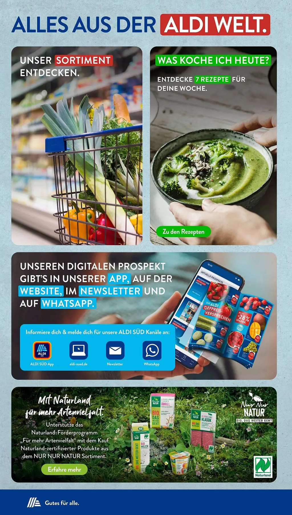 Aldi Süd Prospekt KW50 mit aktuellen Angeboten und attraktiven Rabatten – günstige Lebensmittel, Sparen Sie bei Aldi Süd Prospekt diese Woche!
