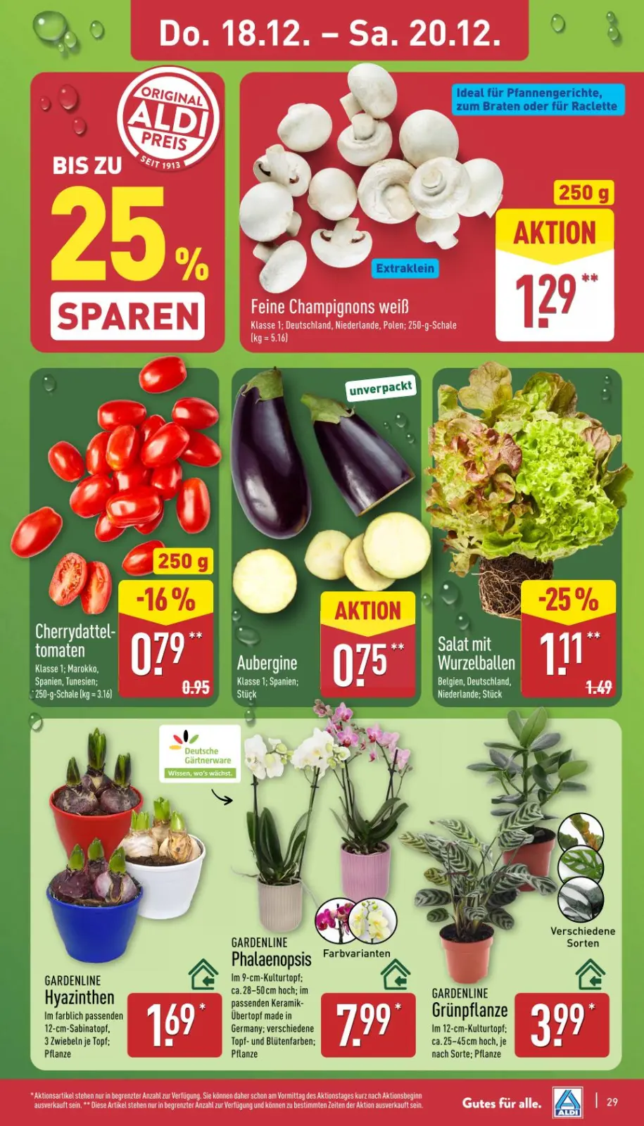 Aldi Nord Prospekt KW51 mit aktuellen Angeboten und attraktiven Rabatten – günstige Lebensmittel, Sparen Sie bei Aldi Nord Prospekt diese Woche!